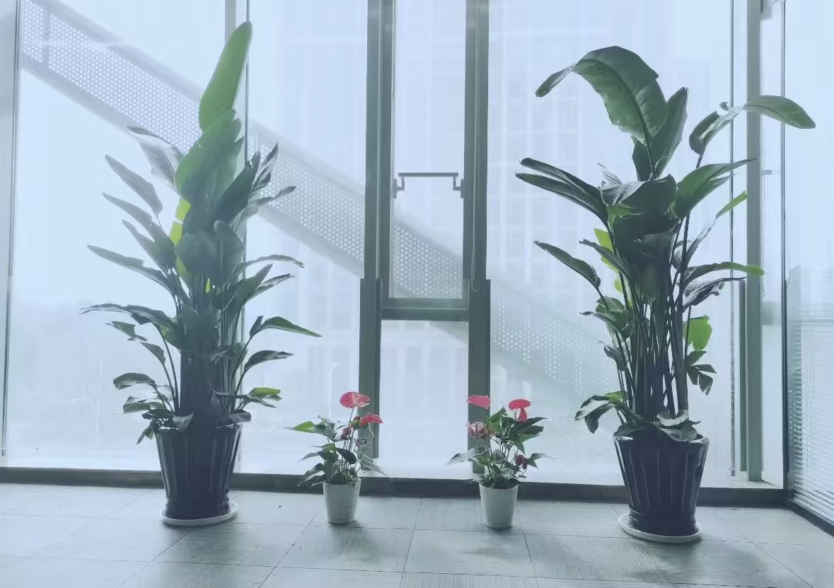 办公环境